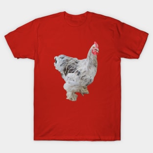 Eagle T-Shirt